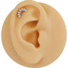 Yedi Markiz Zirkon 6x1.2mm Çelik Labret Piercing, Tragus-Helix-Kıkırdak