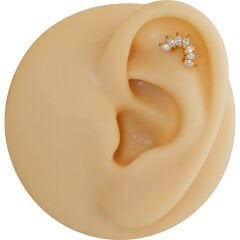 Yedi Markiz Zirkon 6x1.2mm Gold Çelik Labret Piercing, Tragus-Helix-Kıkırdak