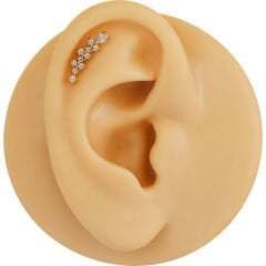 Sıra Zirkon Taşlı 6x1.2mm Gold Çelik Labret Piercing, Tragus-Helix-Kıkırdak