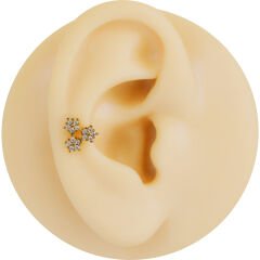 Üçgen Papatya Zirkon 6x1.2mm Gold Çelik Labret Piercing, Tragus-Helix-Kıkırdak