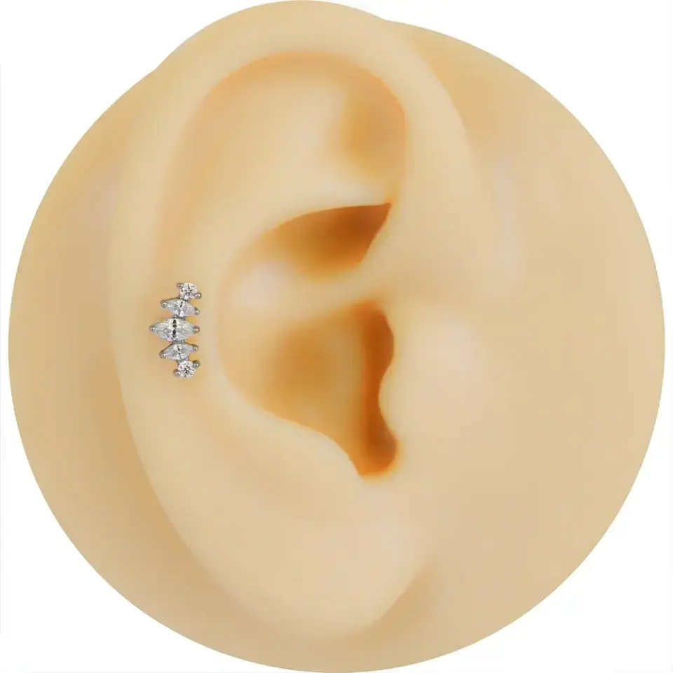antialerjik-gumus-markiz-dizilim-tragus-helix-kikirdak-piercing-fiyatlari