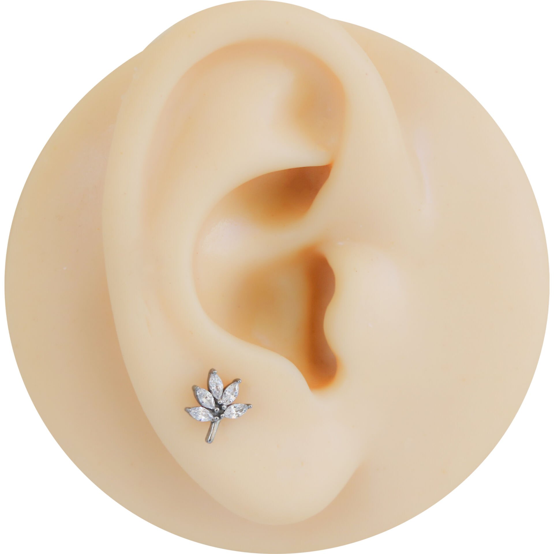 Markiz Çiçek Zirkon 6x1.2mm Çelik Labret Piercing, Tragus-Helix-Kıkırdak