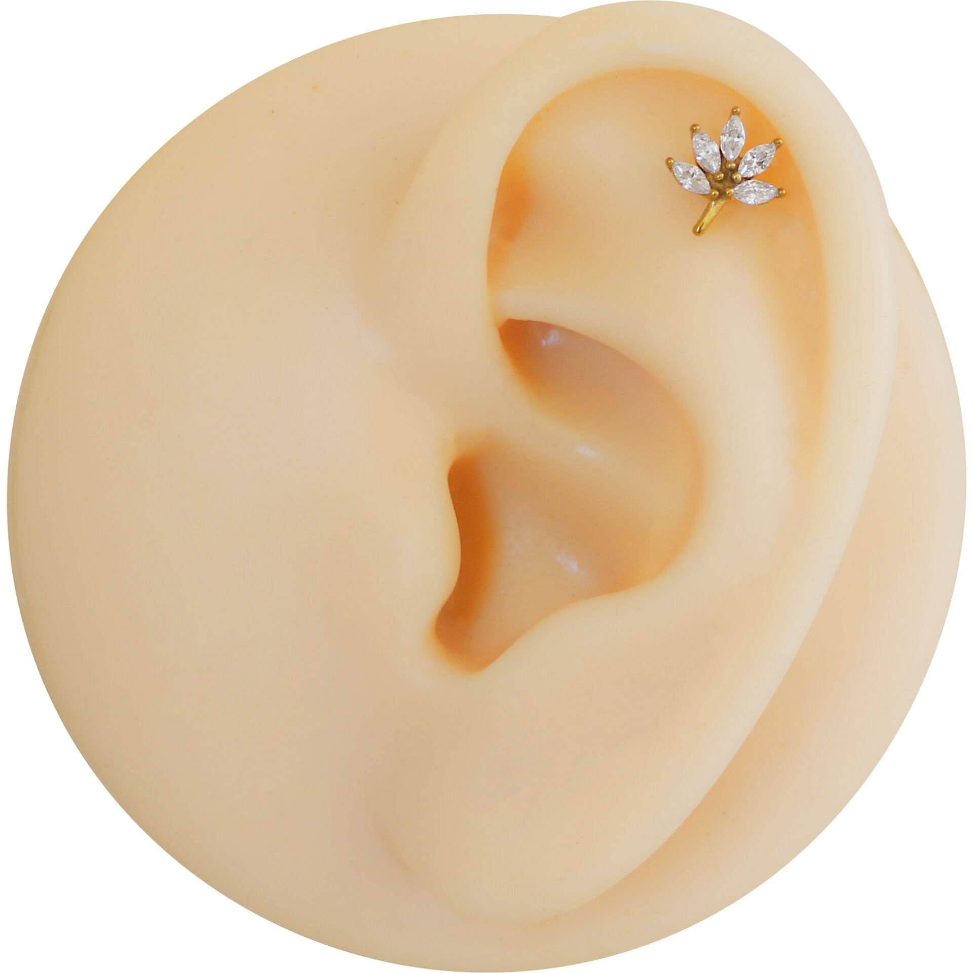 Markiz Çiçek Zirkon 6x1.2mm Gold Çelik Labret Piercing, Tragus-Helix-Kıkırdak