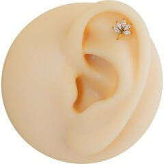 Markiz Çiçek Zirkon 6x1.2mm Gold Çelik Labret Piercing, Tragus-Helix-Kıkırdak