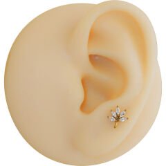 Markiz Çiçek Zirkon 6x1.2mm Gold Çelik Labret Piercing, Tragus-Helix-Kıkırdak