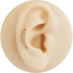 Ay Zirkon 6x1.2mm Gold Çelik Labret Piercing, Tragus-Helix-Kıkırdak