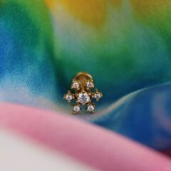 Kar Tanesi Zirkon 6x1.2mm Gold Çelik Labret Piercing, Tragus-Helix-Kıkırdak