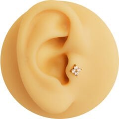 Çiçek Dört Zirkon 6x1.2mm Gold Çelik Labret Piercing, Tragus-Helix-Kıkırdak