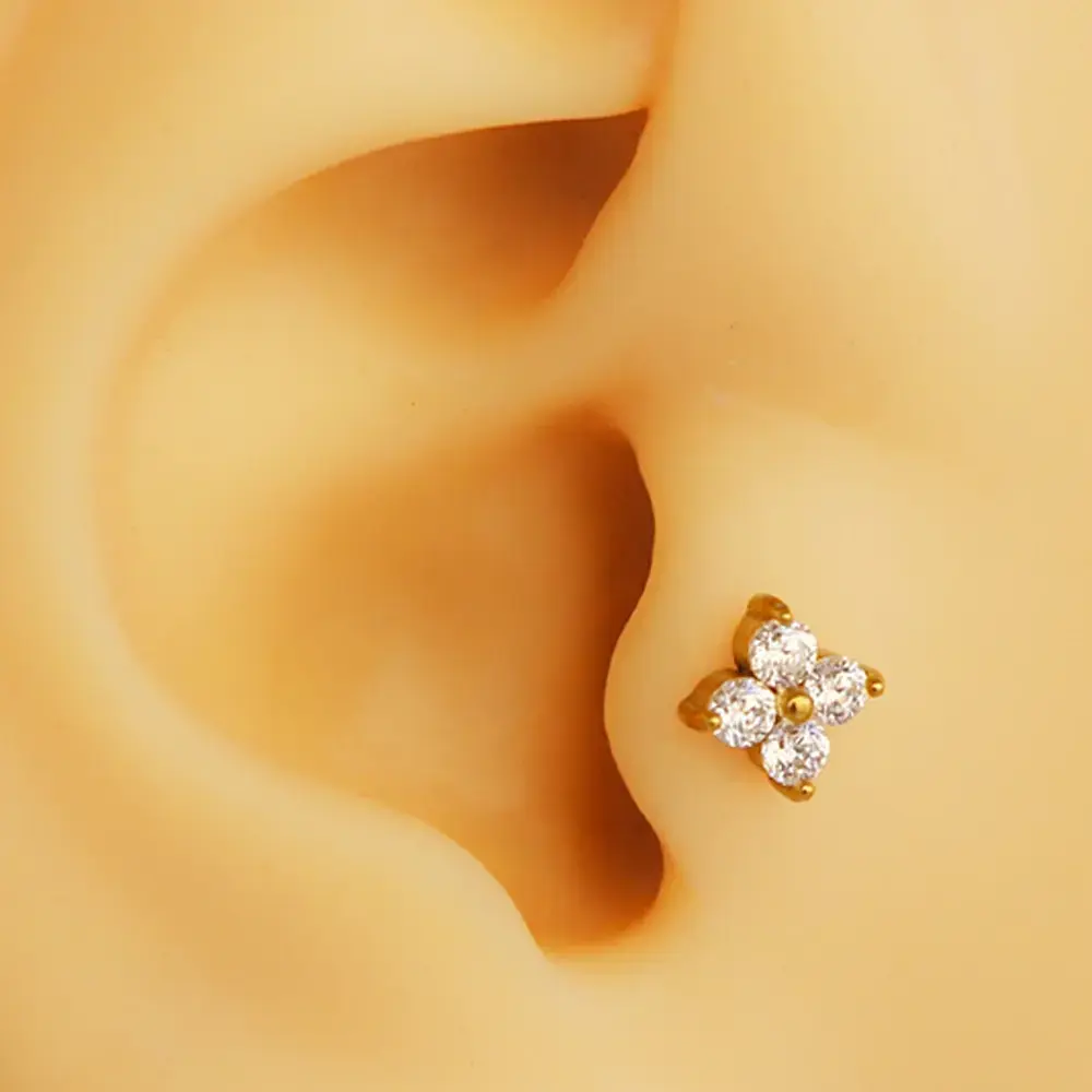 gold-zirkon-tasli-isik-cicegi-tragus-helix-kikirdak-piercing
