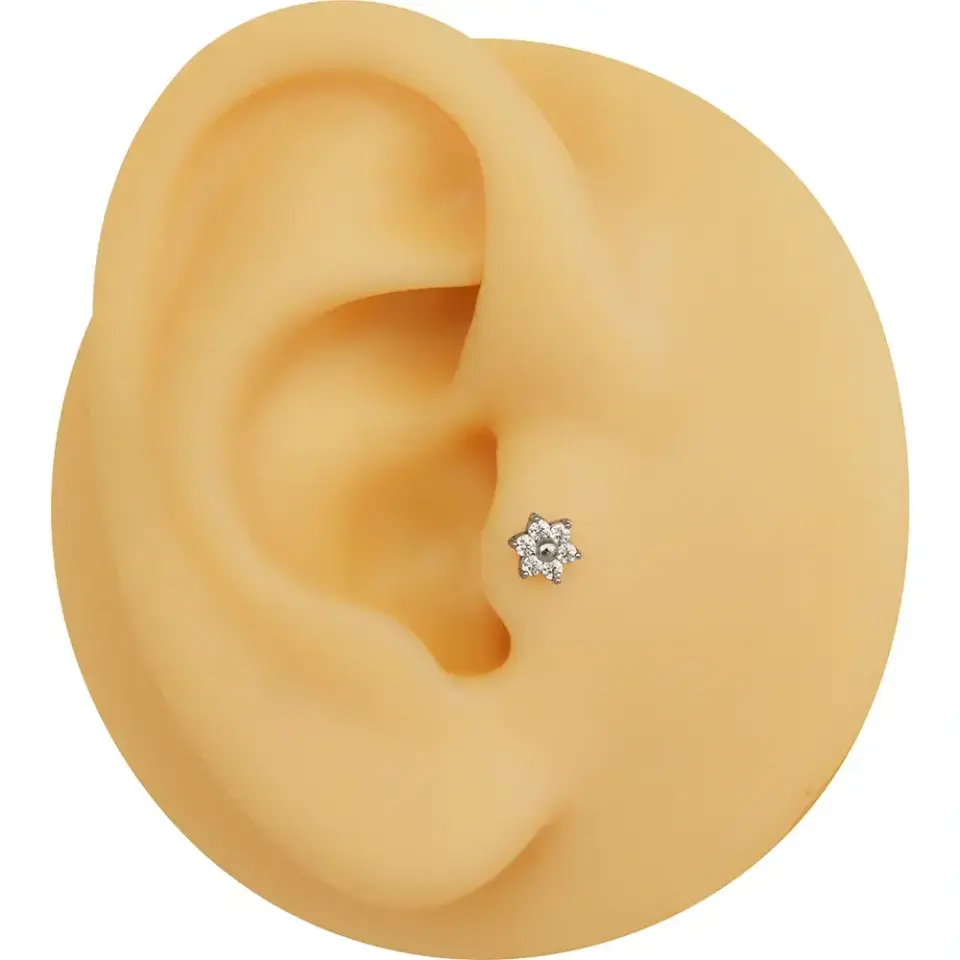 antialerjik-gumus-gunes-cicegi-tragus-helix-kikirdak-piercing-fiyatlari