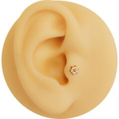 Çiçek Altı Zirkon 6x1.2mm Gold Çelik Labret Piercing, Tragus-Helix-Kıkırdak
