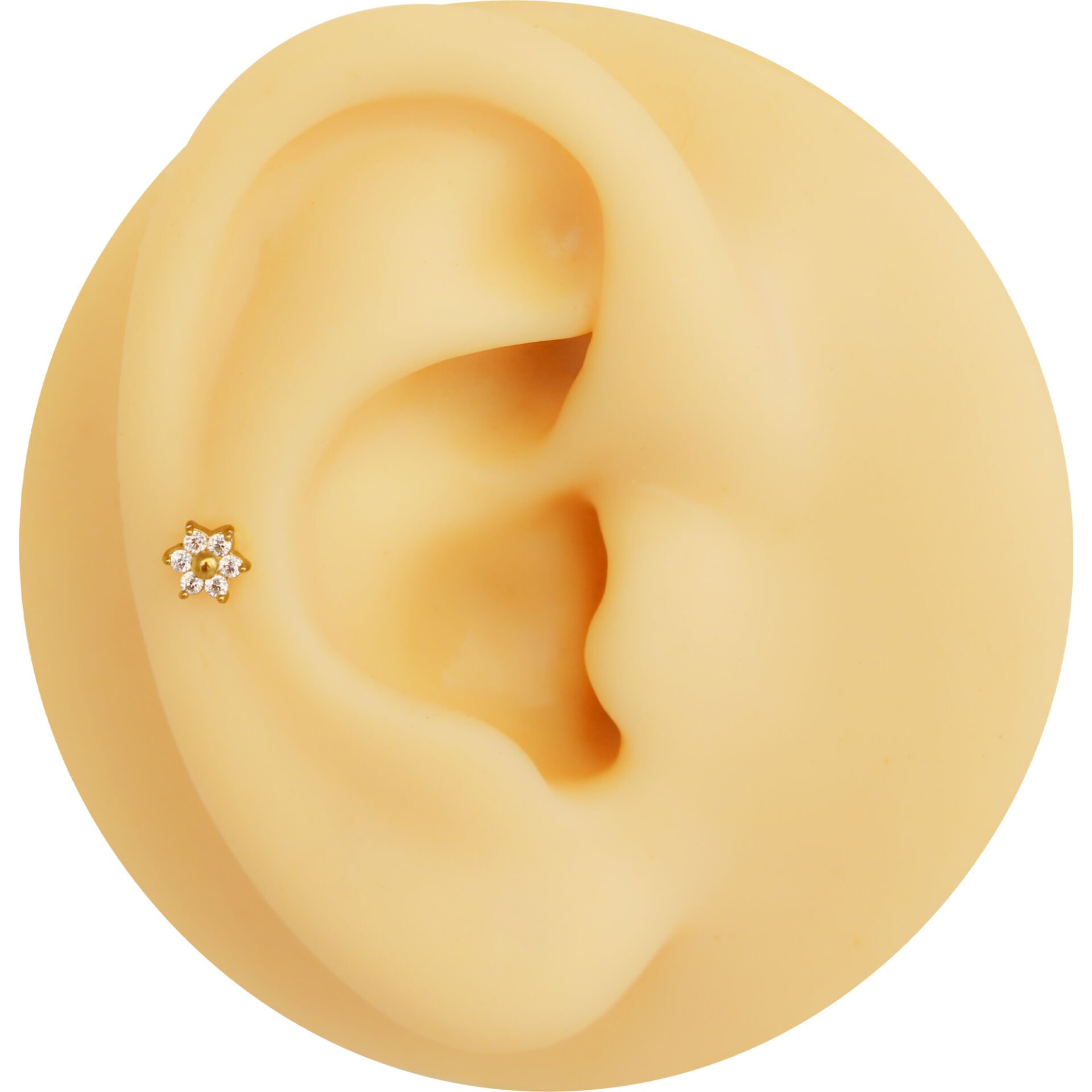 Çiçek Altı Zirkon 6x1.2mm Gold Çelik Labret Piercing, Tragus-Helix-Kıkırdak