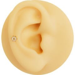 Çiçek Altı Zirkon 6x1.2mm Gold Çelik Labret Piercing, Tragus-Helix-Kıkırdak