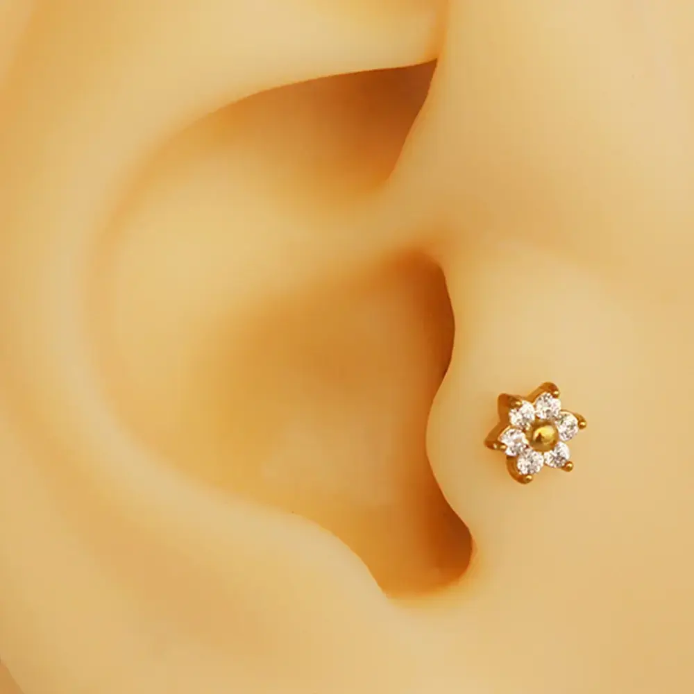 gold-zirkon-tasli-gunes-cicegi-tragus-helix-kikirdak-piercing