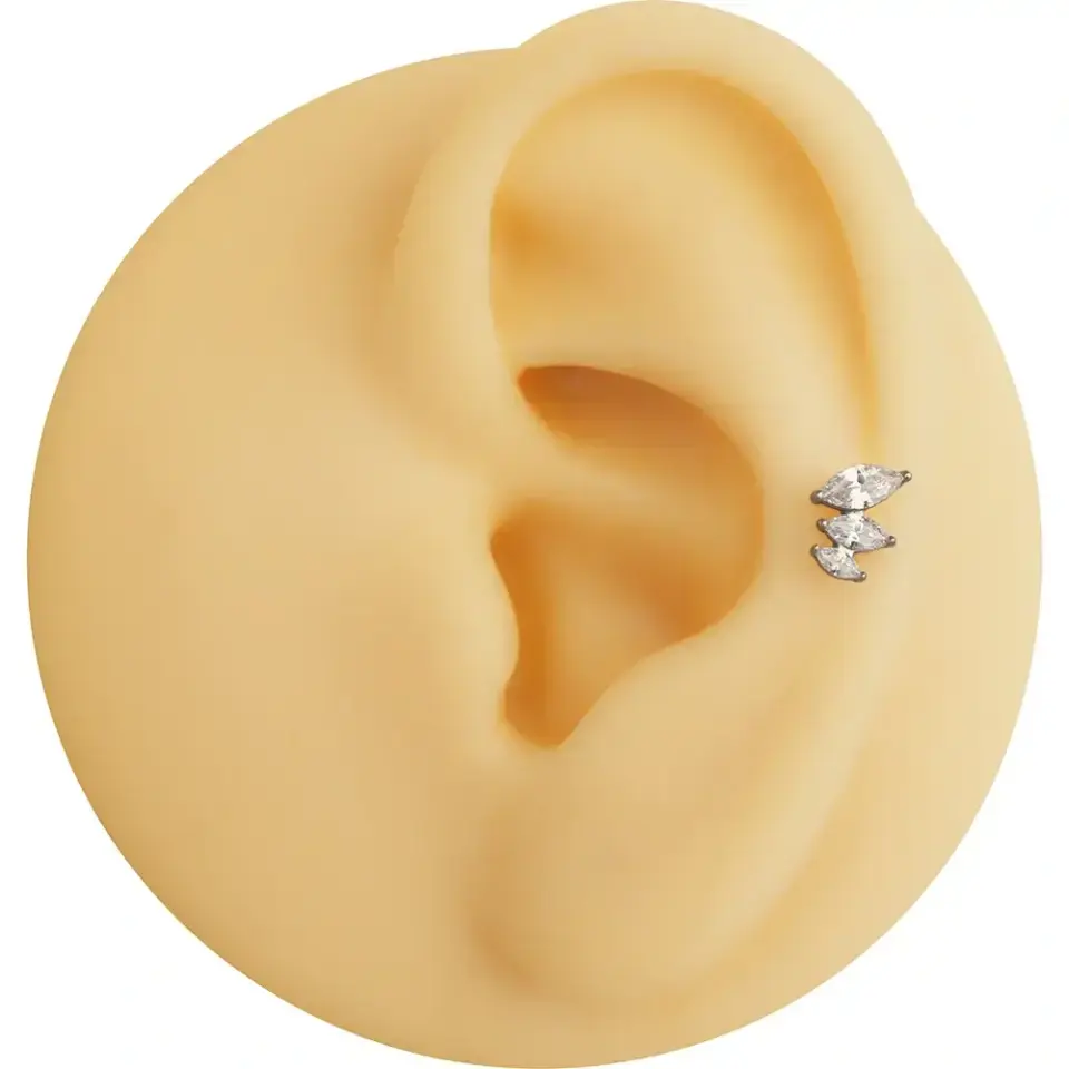 antialerjik-gumus-uc-yaprak-tragus-helix-kikirdak-piercing-fiyatlari