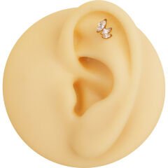 Üç Markiz Zirkon 6x1.2mm Gold Çelik Labret Piercing, Tragus-Helix-Kıkırdak