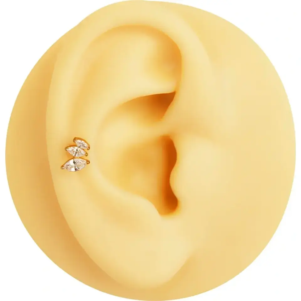 antialerjik-gold-uc-yaprak-tragus-helix-kikirdak-piercing-modelleri