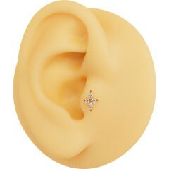 Kutup Zirkon 6x1.2mm Gold Çelik Labret Piercing, Tragus-Helix-Kıkırdak