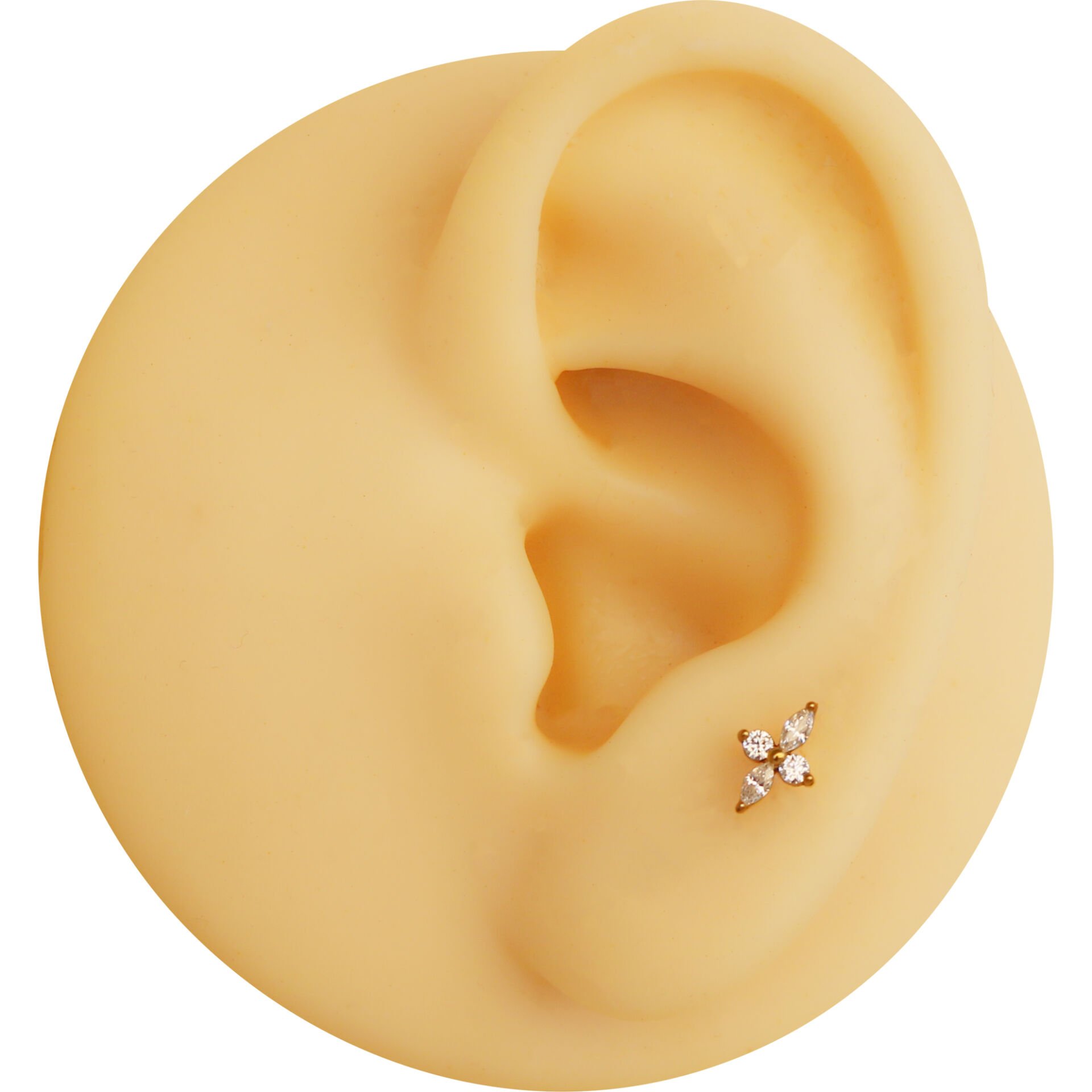 Kutup Zirkon 6x1.2mm Gold Çelik Labret Piercing, Tragus-Helix-Kıkırdak