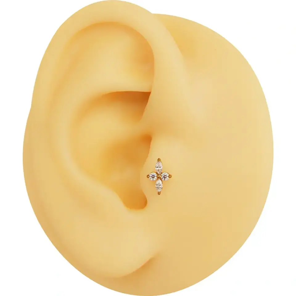 antialerjik-gold-kuzey-yildizi-tragus-helix-kikirdak-piercing-fiyatlari