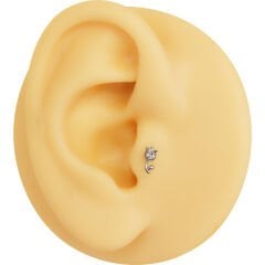 Lale Zirkon 7x1.2mm Çelik Labret Piercing, Tragus-Helix-Kıkırdak