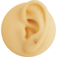Lale Zirkon 7x1.2mm Gold Çelik Labret Piercing, Tragus-Helix-Kıkırdak