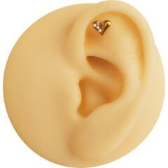 Kalp Zirkon 6x1.2mm Gold Çelik Labret Piercing, Tragus-Helix-Kıkırdak