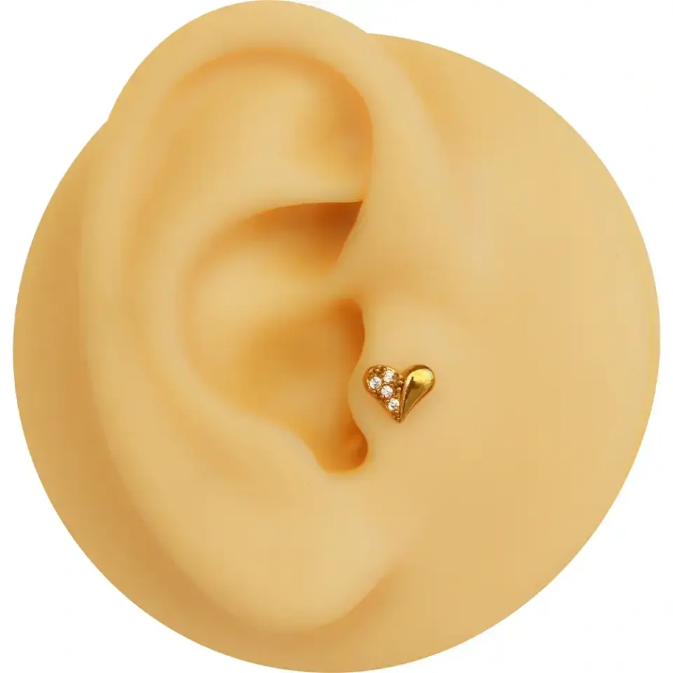 316L medikal çelik anti-alerjik altın kalp tragus piercingin kıkırdaktaki zarif duruşu