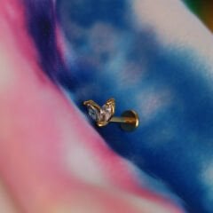 İki Markiz Zirkon 6x1.2mm Gold Çelik Labret Piercing, Tragus-Helix-Kıkırdak