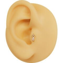 Arma Zirkon 6x1.2mm Gold Çelik Labret Piercing, Tragus-Helix-Kıkırdak