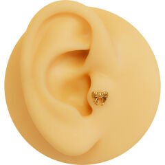 Fiyonk 6x1.2mm Gold Çelik Labret Piercing, Tragus-Helix-Kıkırdak