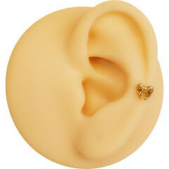 Fiyonk 6x1.2mm Gold Çelik Labret Piercing, Tragus-Helix-Kıkırdak