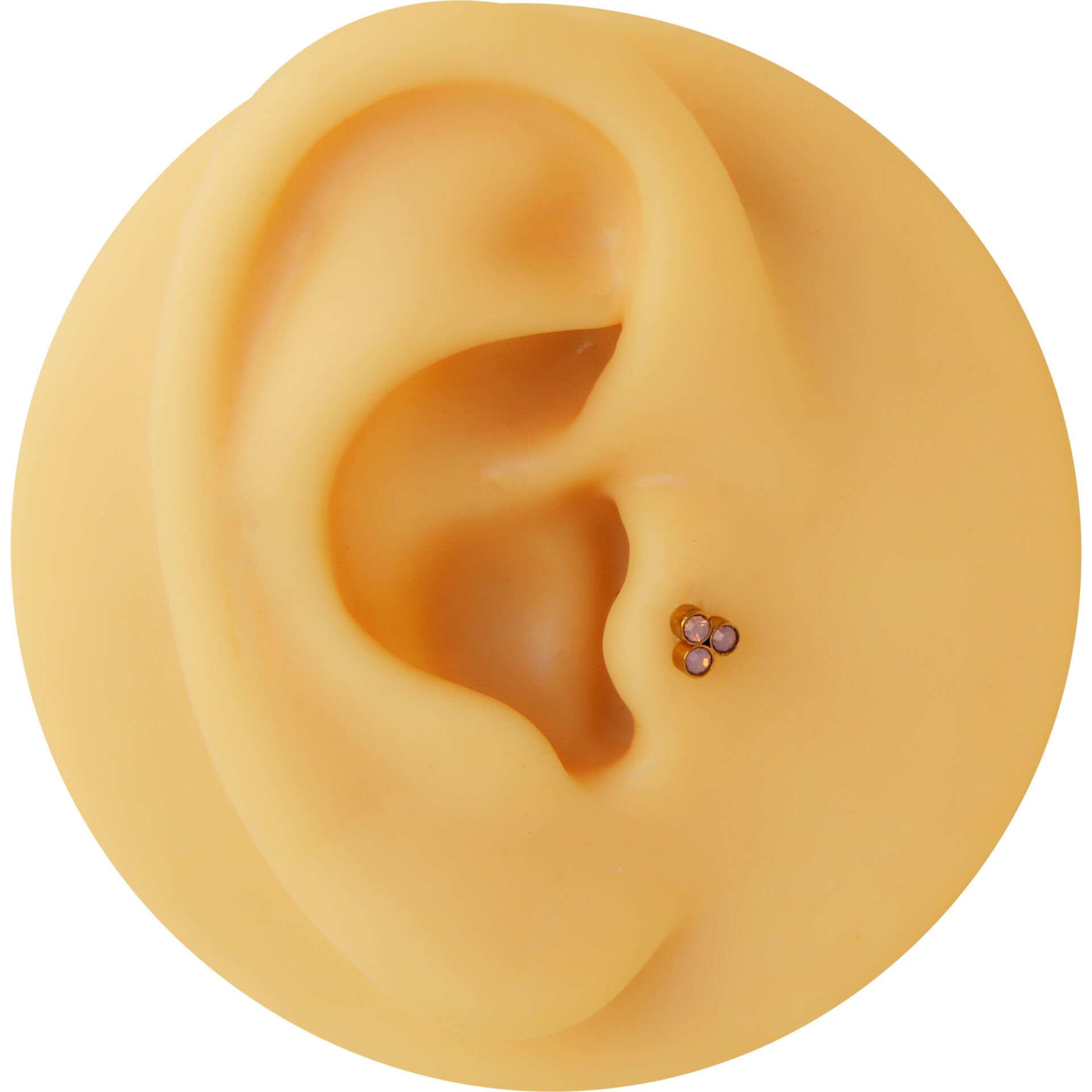 Üç Opak Pembe Taş 6x1.2mm Gold Çelik Labret Piercing, Tragus-Helix-Kıkırdak