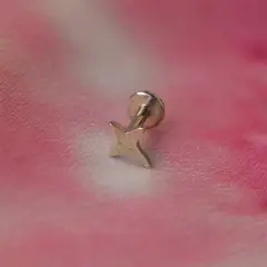 Arkası düz vidalı gümüş yıldız piercing