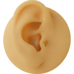 Arkası düz vidalı sarı altın yıldız piercing teknik detay ve ölçü görünümü