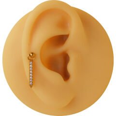 Sütun Zirkon 8x1.2mm Gold Çelik Labret Piercing, Tragus-Helix-Kıkırdak