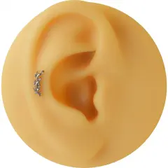 316L cerrahi çelik anti-alerjik yaprak figürlü helix kıkırdak küpesi.