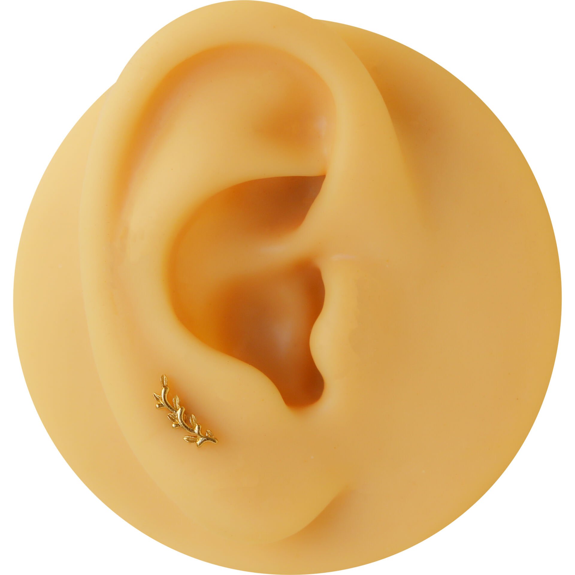 Zeytin Dalı 6x1.2mm Gold Çelik Labret Piercing, Tragus-Helix-Kıkırdak