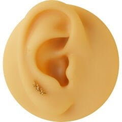 Zeytin Dalı 6x1.2mm Gold Çelik Labret Piercing, Tragus-Helix-Kıkırdak