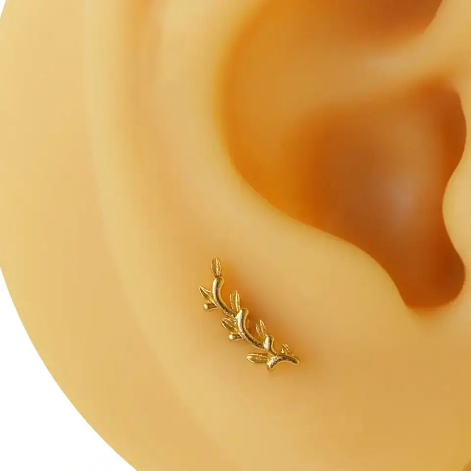 Altın renk zeytin dalı yaprak modelli cerrahi çelik tragus piercing.