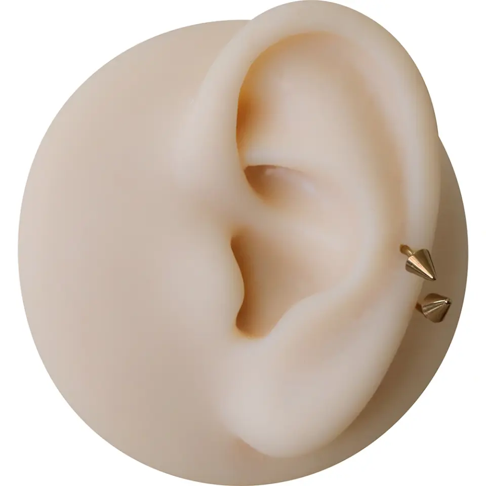 Burun ve septum bölgesinde sergilenen altın kararmayan spike burun dudak kıkırdak piercing