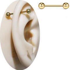 Toplu Gold Çelik 1,2 mm Düz Bar Piercing, Tragus-Helix-Meme-Septum-Kıkırdak