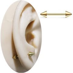 Spayk Gold Çelik 1,2 mm Düz Bar Piercing, Tragus-Helix-Meme-Septum-Kıkırdak
