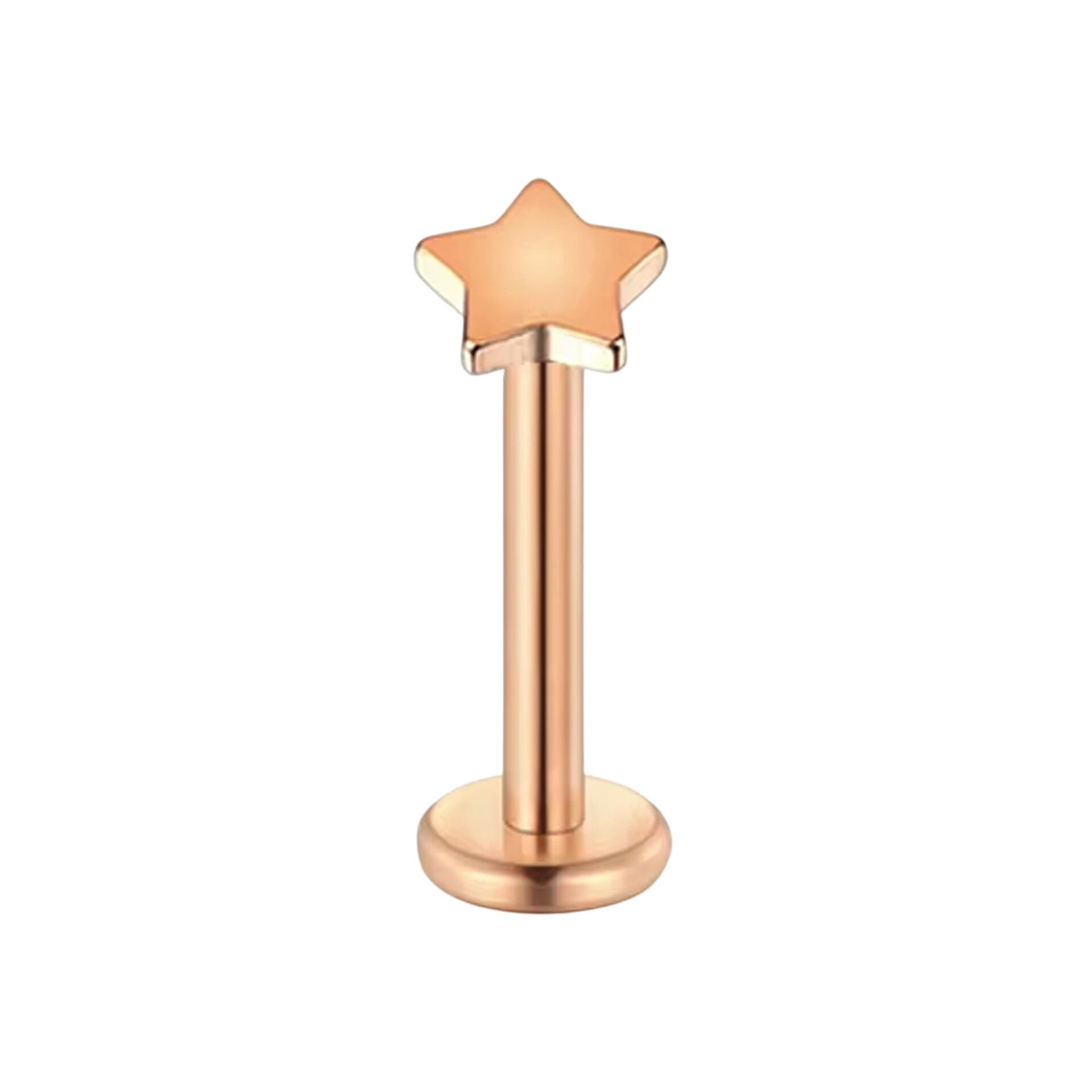 Yıldız Rose Çelik Labret Piercing, Tragus-Dudak-Helix-Kıkırdak