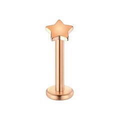 Yıldız Rose Çelik Labret Piercing, Tragus-Dudak-Helix-Kıkırdak