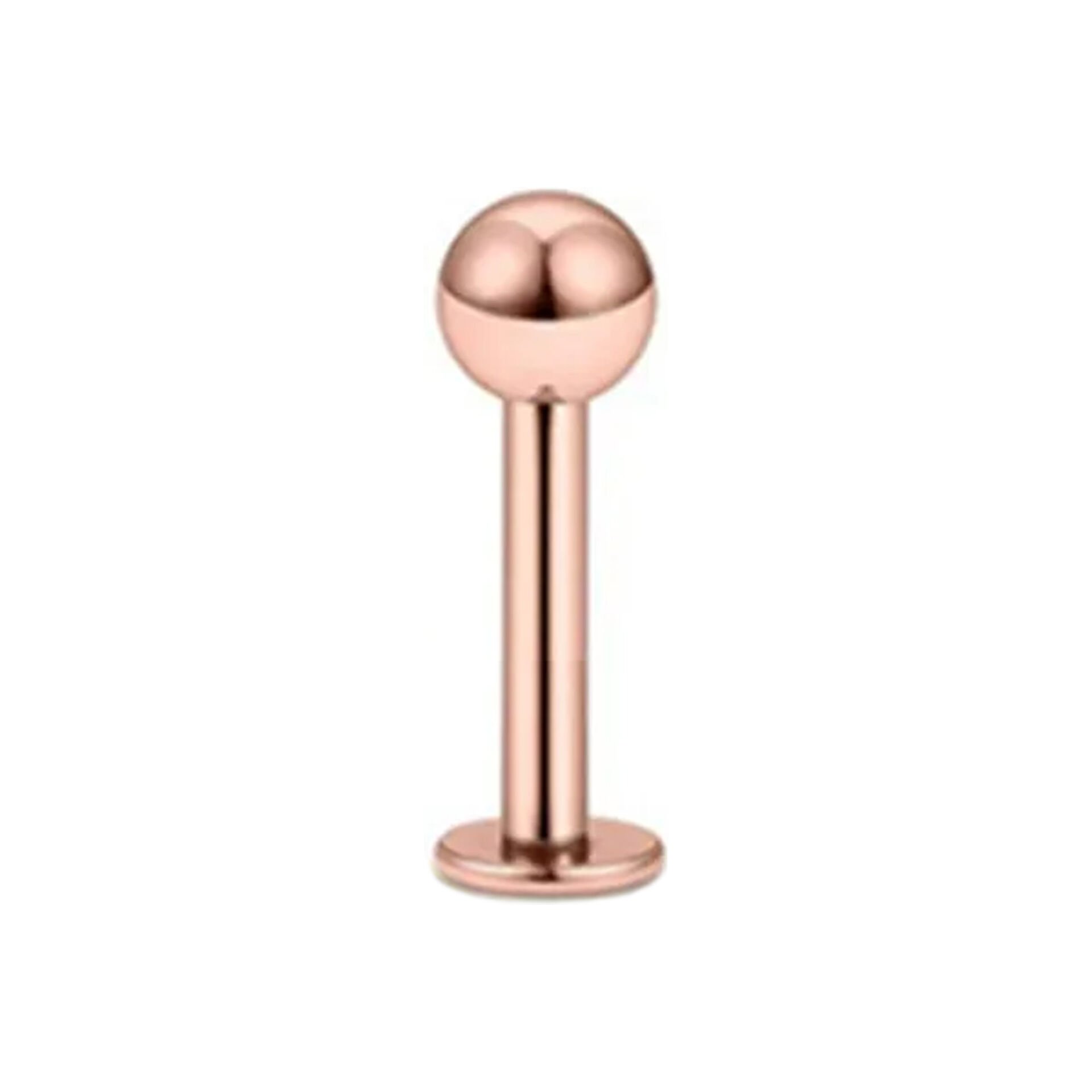 Toplu Rose Çelik Flatback Düz Bar Piercing, Tragus-Helix-Conch-Burun-Dudak-Kıkırdak