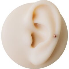Toplu Rose Çelik Flatback Düz Bar Piercing, Tragus-Helix-Conch-Burun-Dudak-Kıkırdak