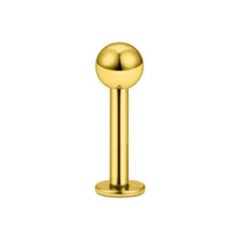 Toplu Gold Çelik Flatback Düz Bar Piercing, Tragus-Helix-Conch-Burun-Dudak-Kıkırdak