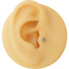 Çok Taş Çelik Labret Piercing, Tragus-Dudak-Helix-Kıkırdak