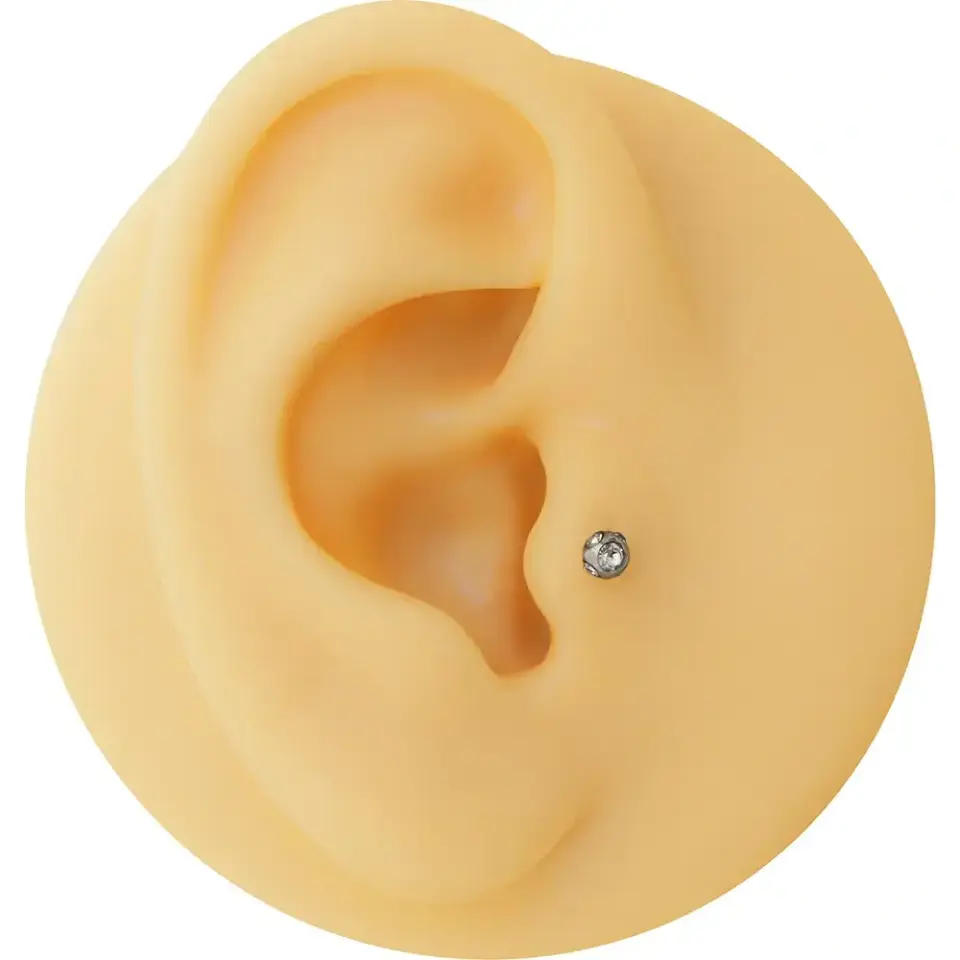 Çok kristalli disko taşlı gümüş renkli 316L cerrahi çelik dudak, tragus, kıkırdak piercing